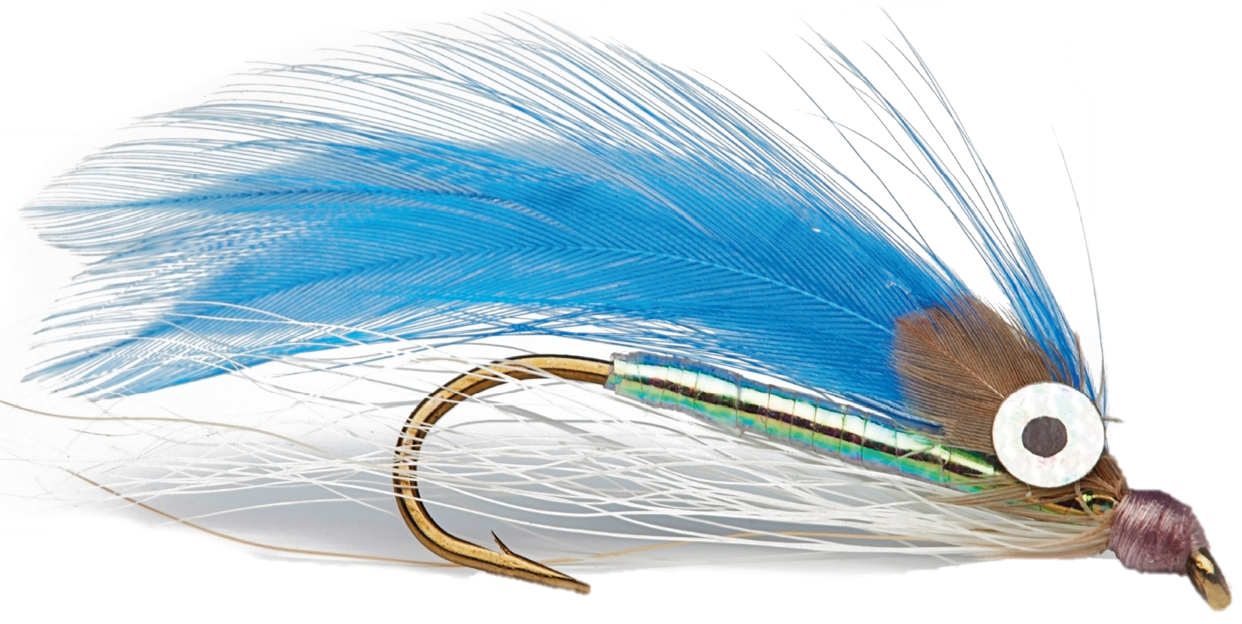Fliegenfischen%20Fliege