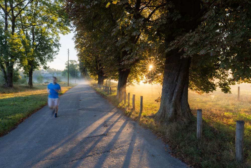Ein eleganter Esstisch aus Holz mit modernen Stühlen in einem hellen, stilvollen Essbereich