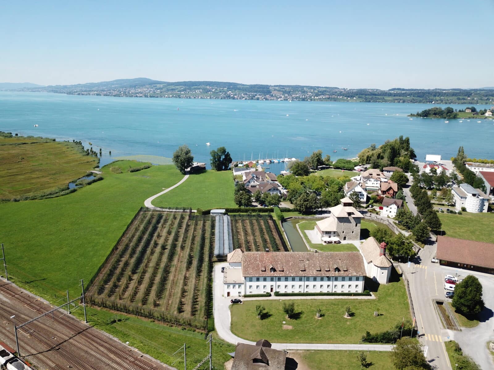 Landschaft mit See und Weinbergen