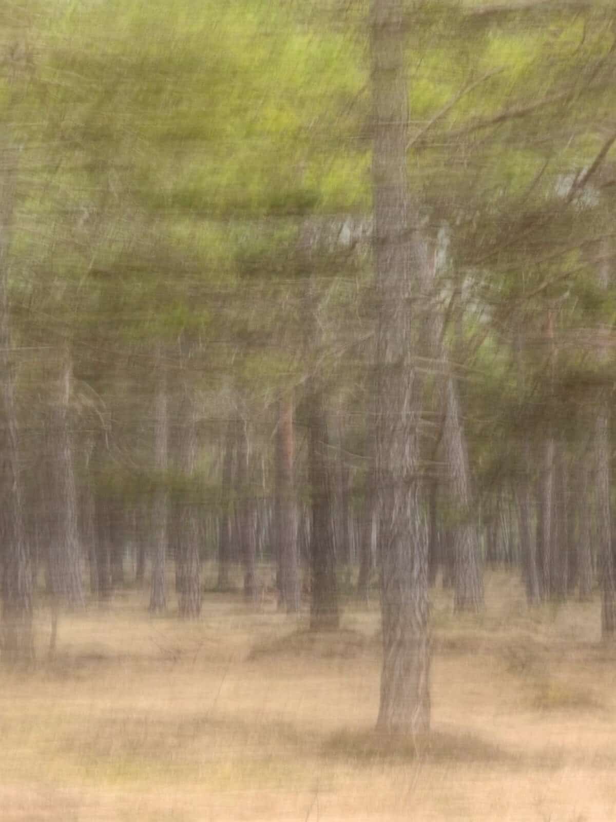 Claude Ginesta zeigt mit «IN PASSING» seine unbekannte Seite. 3 IMG 1403