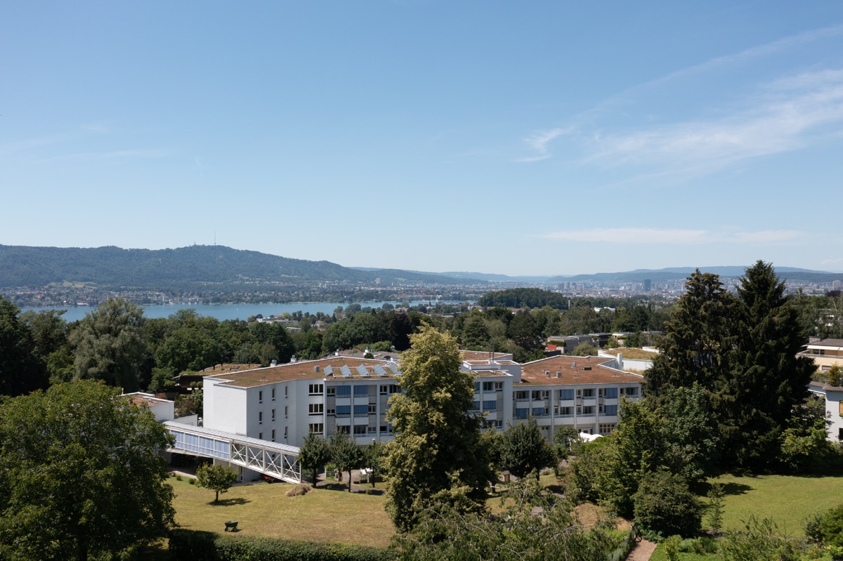 Aussicht auf die Weinberge in Zollikon, umgeben von sanften Hügeln und blauem Himmel.