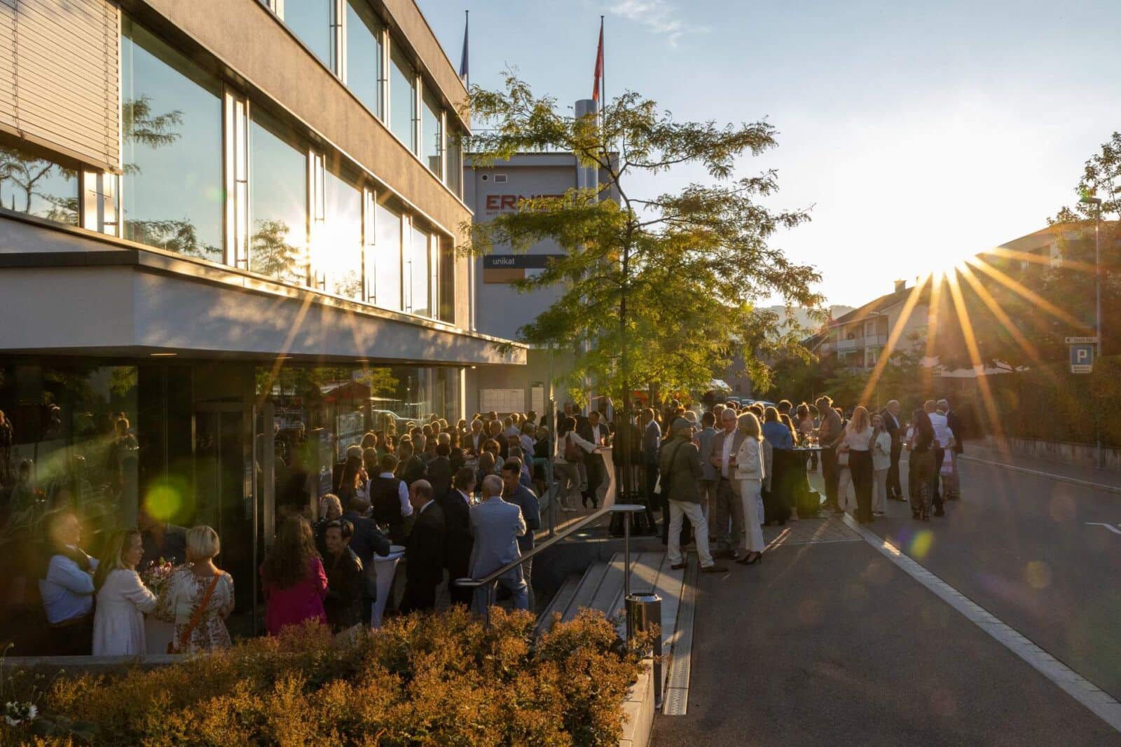 Schöner Garten mit bunten Blumen und grünen Sträuchern in der Sonne