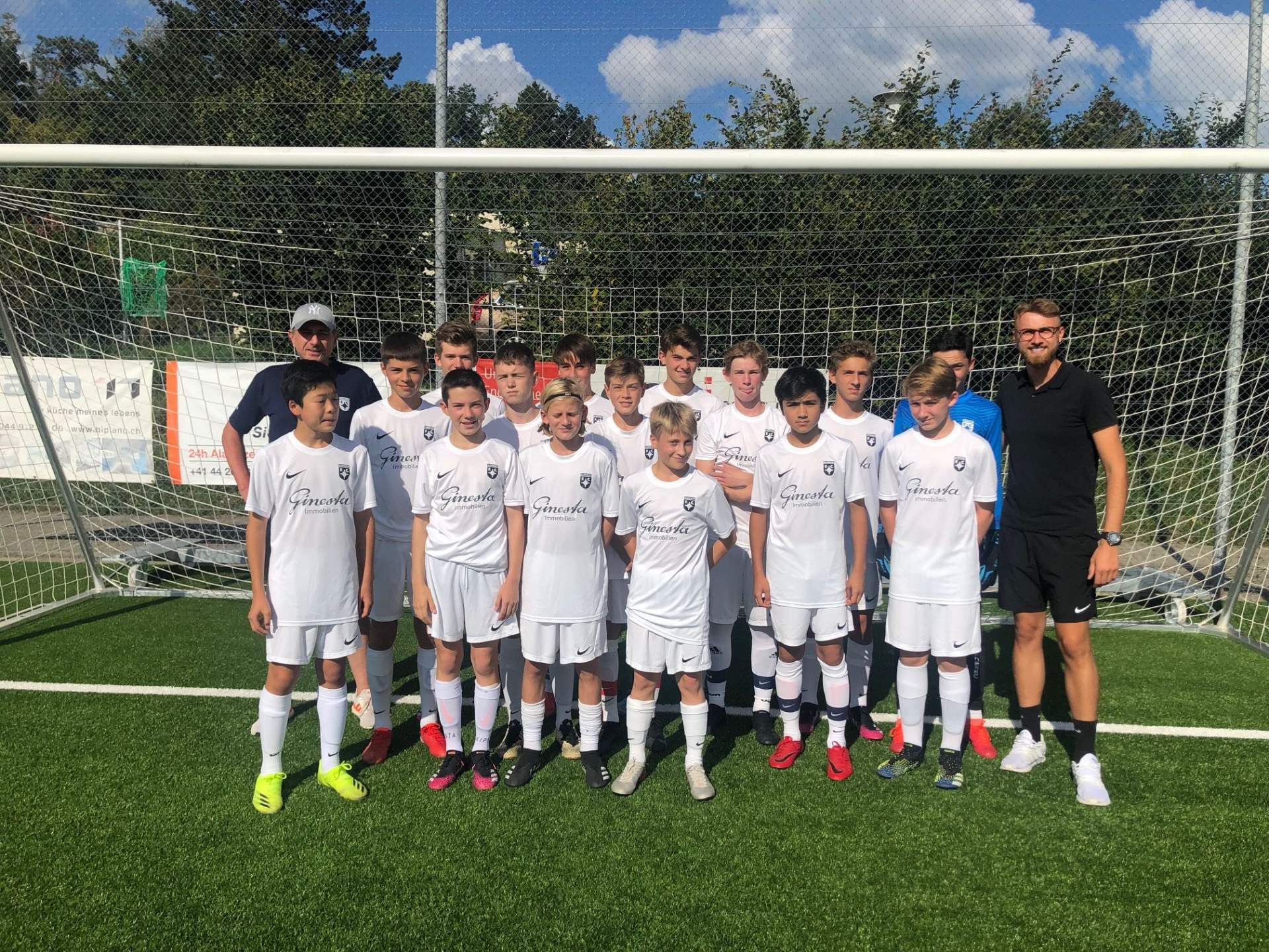 Blühender Lavendel im Sonnenlicht auf einer grünen Wiese