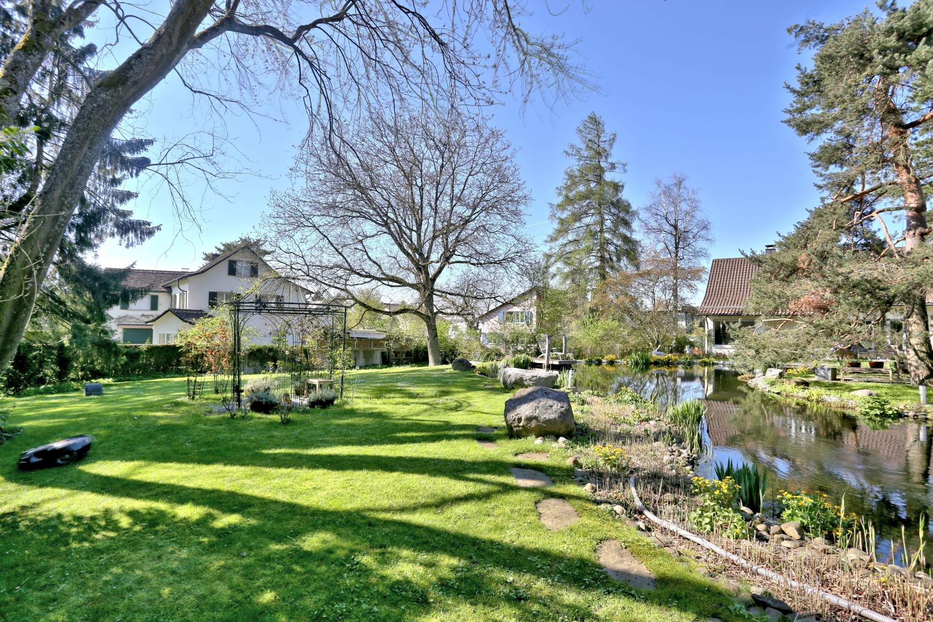 img 5388 7 6 5 4 detail